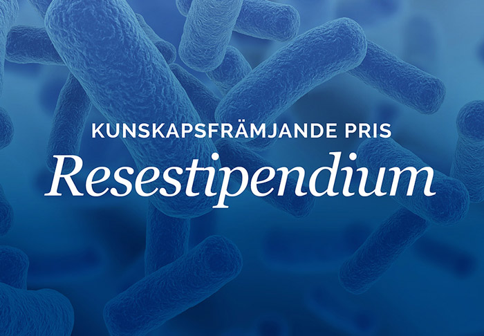 Resestipendium